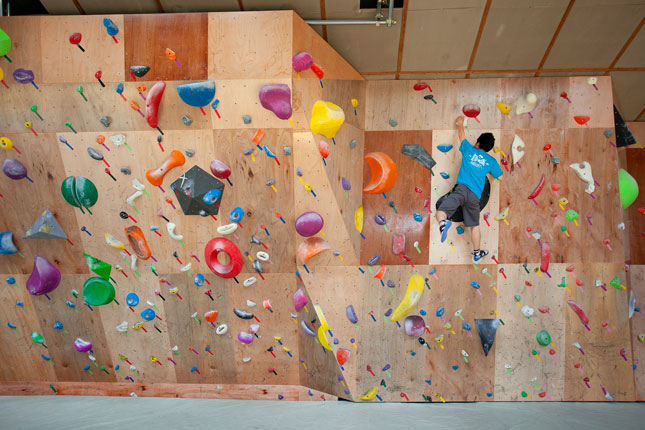 833WALL